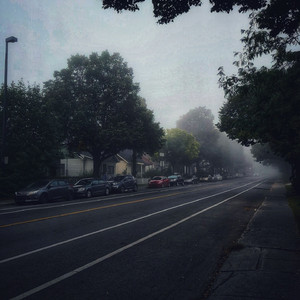 69视频免费观看
