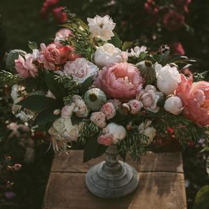 69视频免费观看
