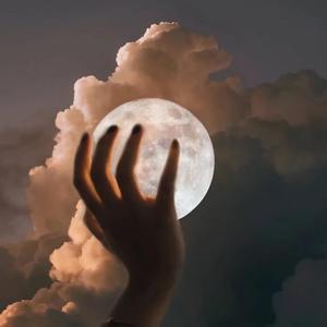 69视频免费观看
